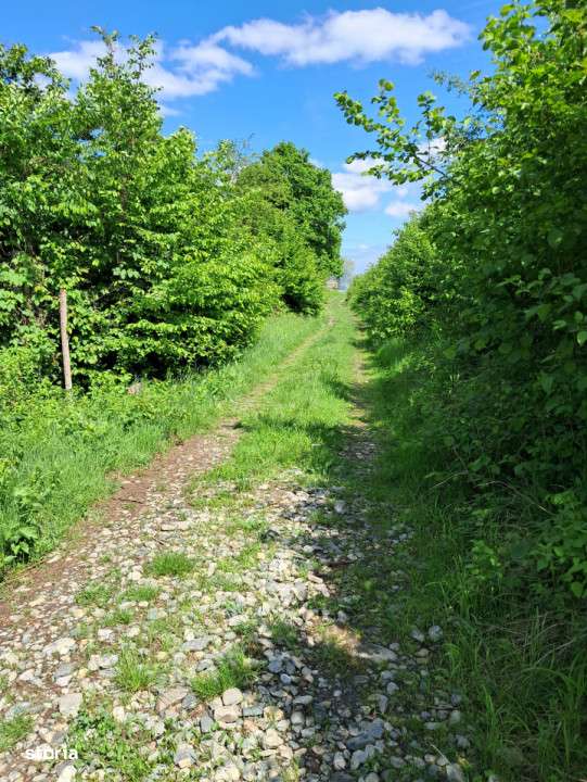 Teren de vanzare in Vii,  Podul Olt-9