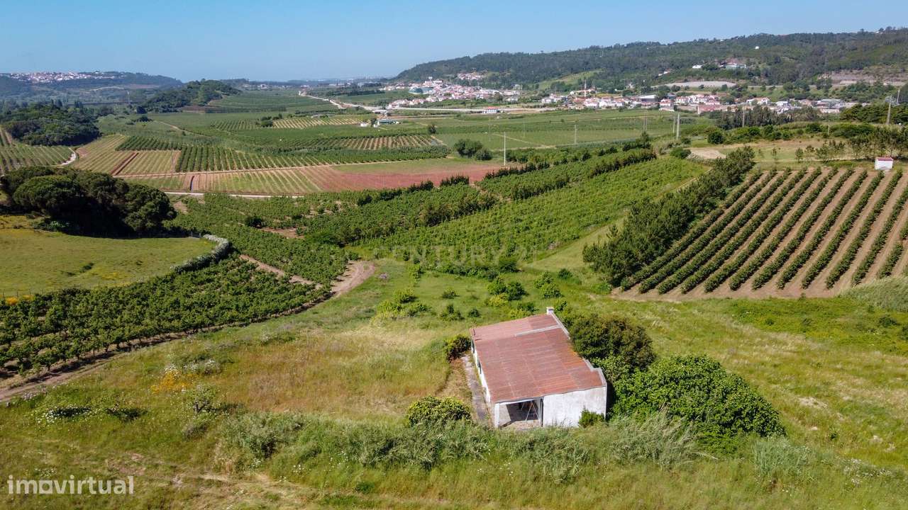 Terreno rústico na Roliça, Bombarral - Grande imagem: 5/12
