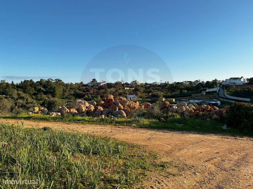 Terreno para Hotel de Turismo Rural com Projeto Aprovado - Ferragud... - Grande imagem: 2/16