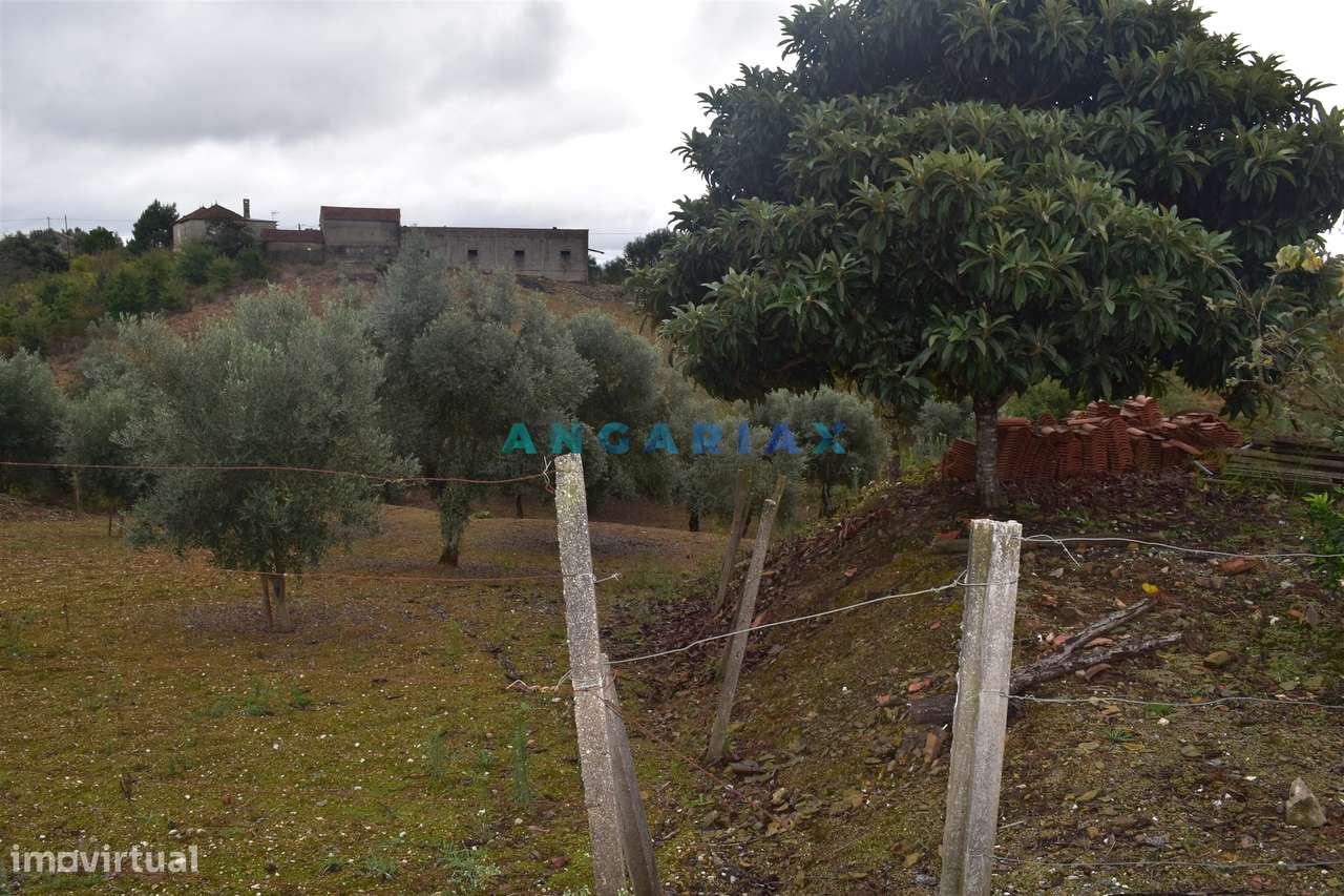 ANG1220 - Terreno para Venda em Atalaia, Pedrógão Grande - Grande imagem: 5/9