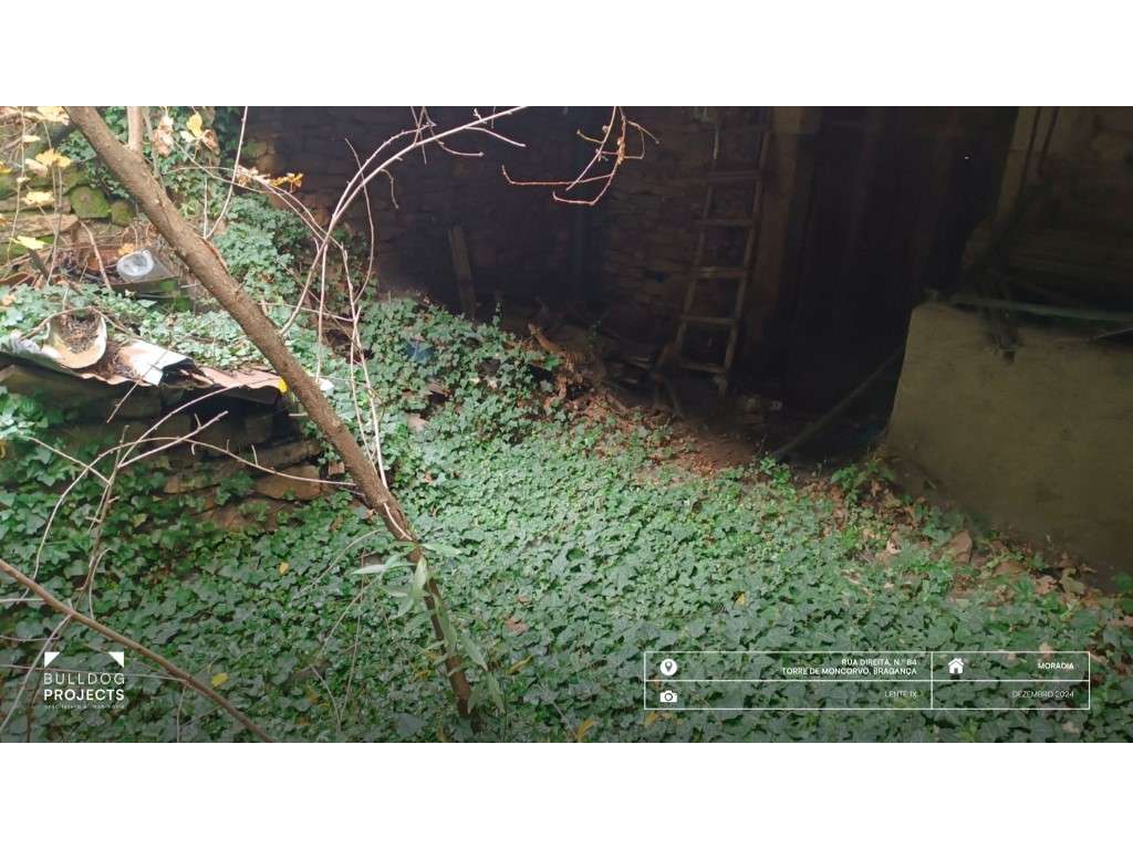 Moradia com 9 assoalhadas na Rua Direita, Carviçais-30