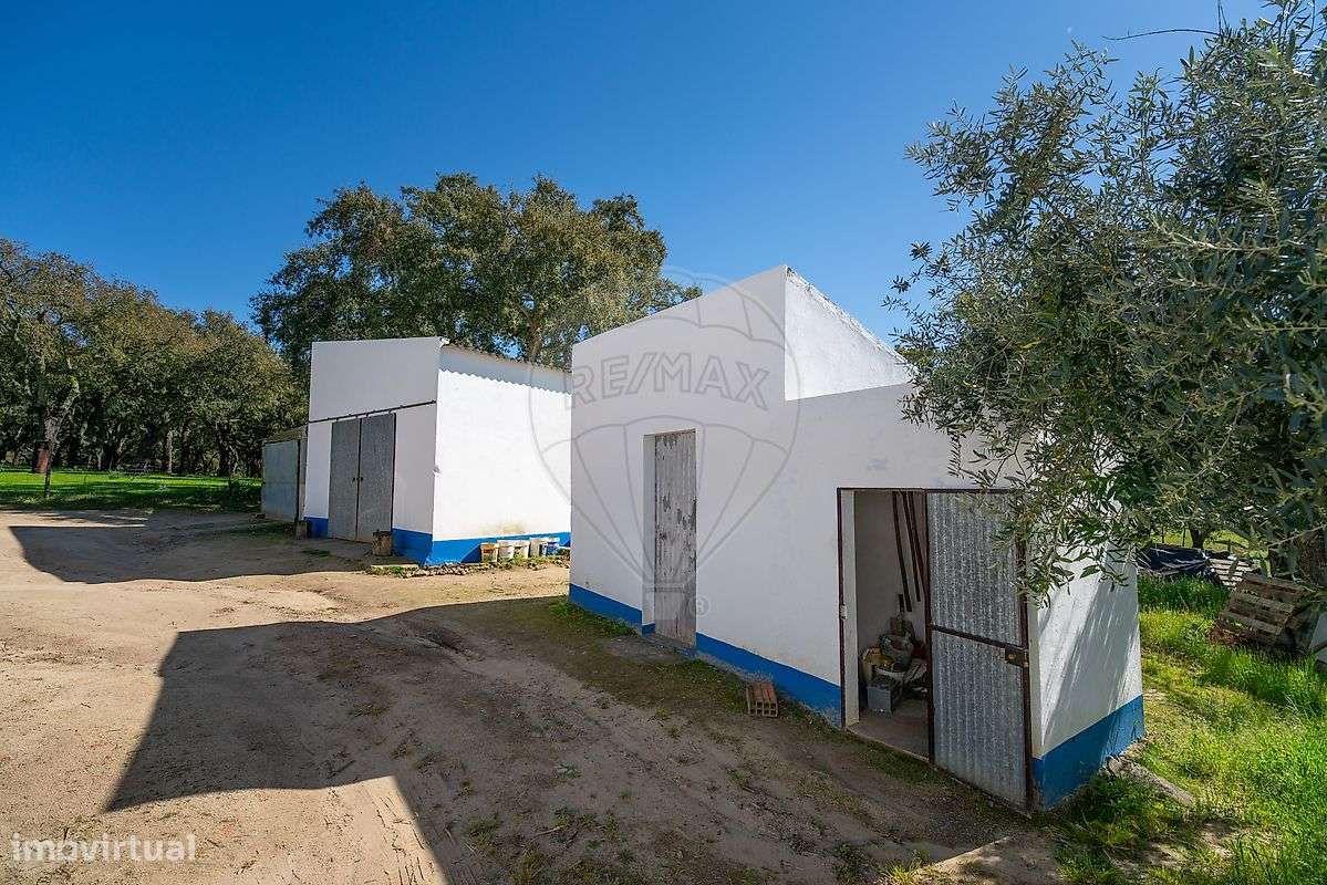 Quinta T6 para venda-36