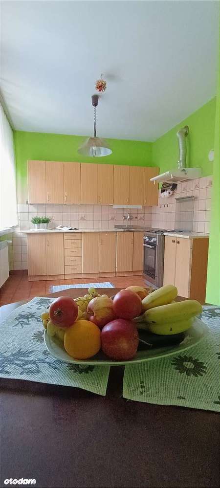 Dom 6 pokoi|działka 623 ar|spokojna okolica|Bieżanów-4