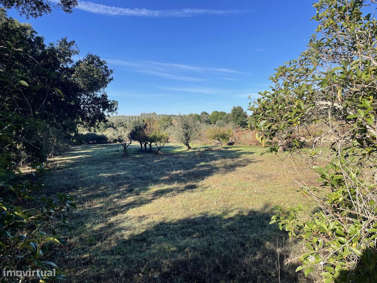 Terreno Rústico  20 000m2 Abrantes - Grande imagem: 4/42