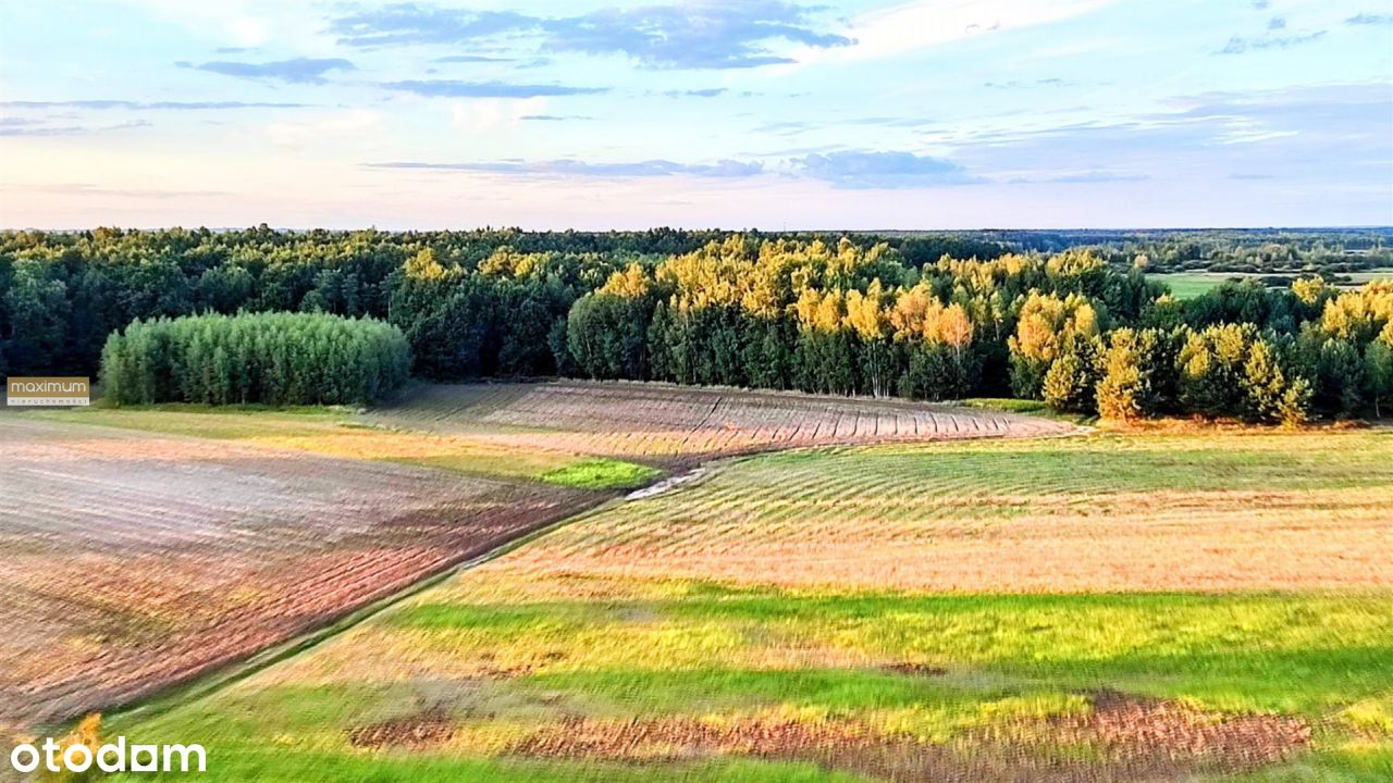 Działki rolne 0,85 ha| Ruskie Piaski | gm. Nielisz