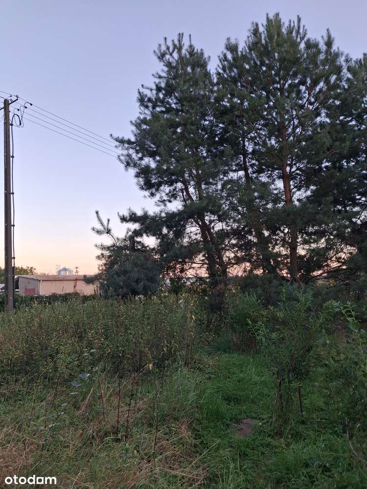 Działka budowlana Grubale 1600 m² - Pełny obrazek: 4/4