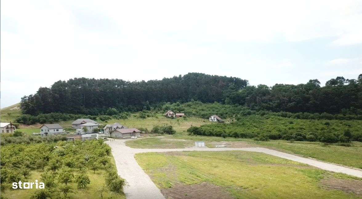 Vand teren intravilan Sanpetru la poalele Dealului Lempes-10