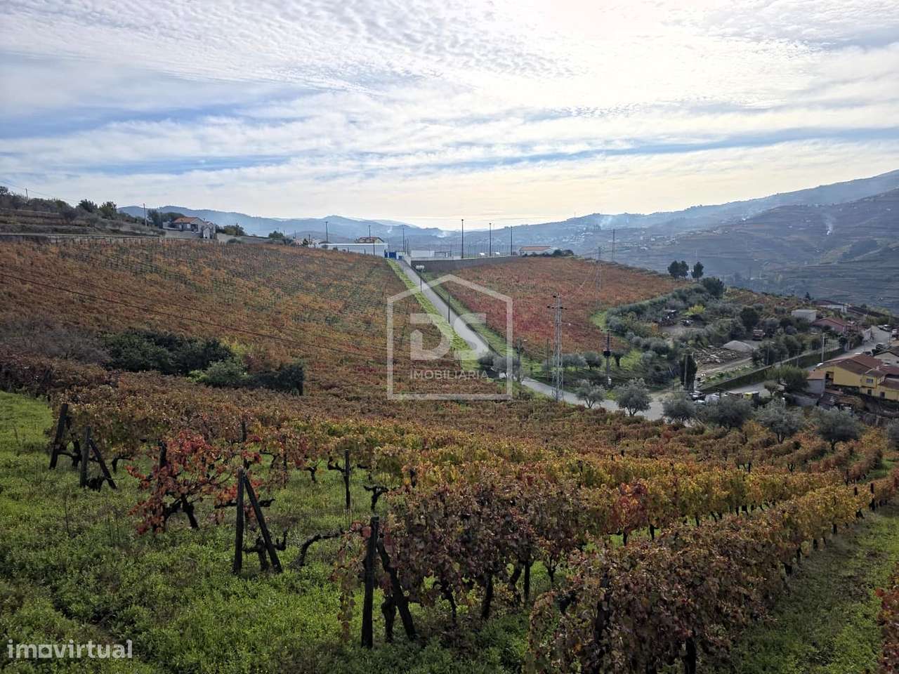 Quinta T4 Venda em Fontelas,Peso da Régua-35