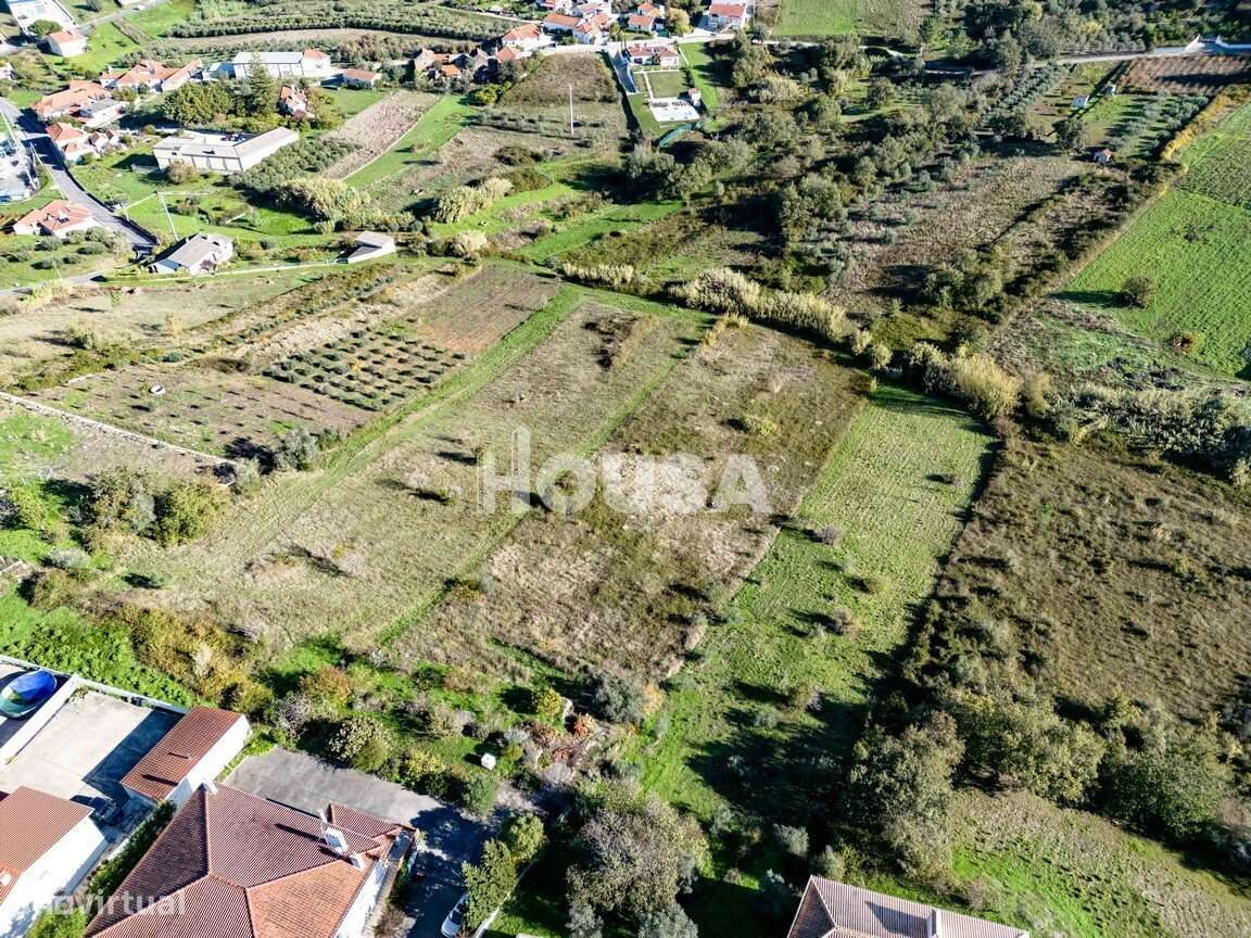 Terreno Rústico com 7.670m² nos Golfeiros – Batalha-5