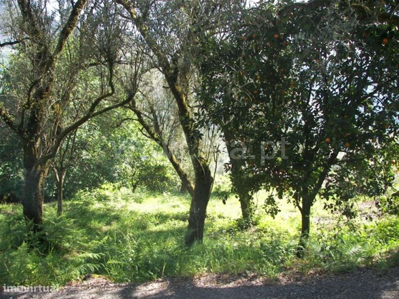 Terreno para construção com 490 m2 em Vila Cova - Grande imagem: 4/12