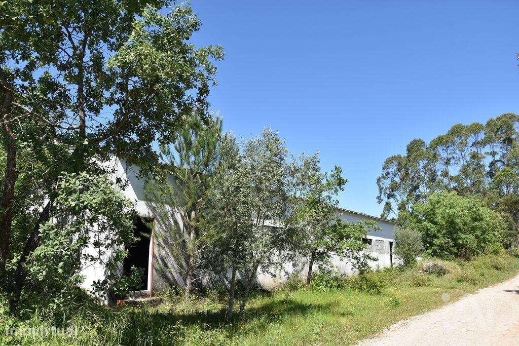 Armazém em Freixianda, Ribeira do Fárrio e Formigais de 378,00 m2 - Grande imagem: 5/29