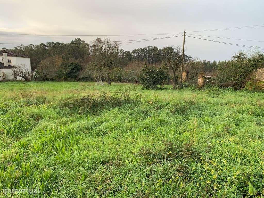 Terreno com 30 m de frente, Estarreja - Grande imagem: 4/37