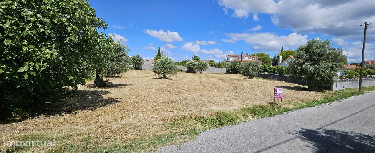 Terreno para Construção - T3019/24 - Grande imagem: 5/5