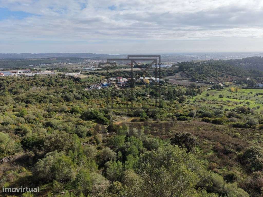 Oportunidade Única de Investimento Agrícola em Alenquer-15