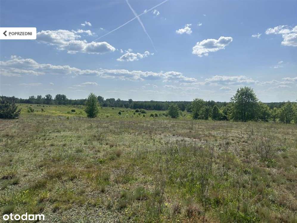 Nieruchomość rolna pod inwestycję-Żłobnica powiat bełchatowski - Pełny obrazek: 2/4