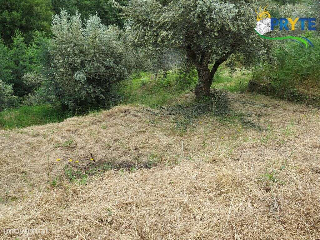 Pequena quinta a confinar com a Ribeira situada perto de Oleiros-39