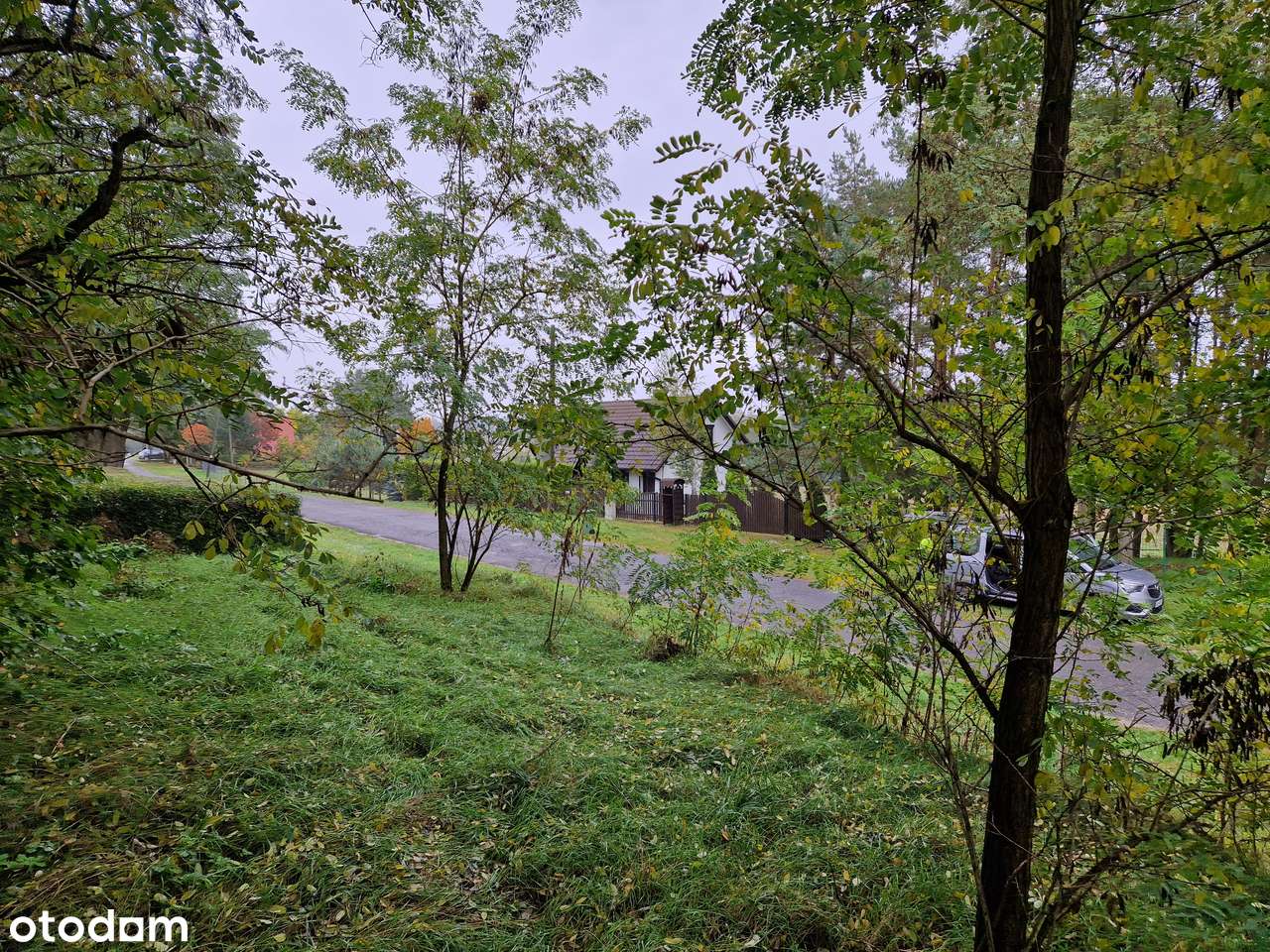 ŁOWYŃ - Bezpośrednio - działka budowlana blisko jeziora - Pełny obrazek: 4/7