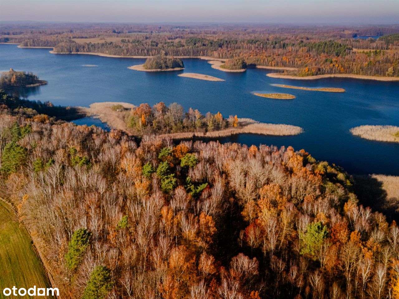 Działka siedliskowa - Krągi-16
