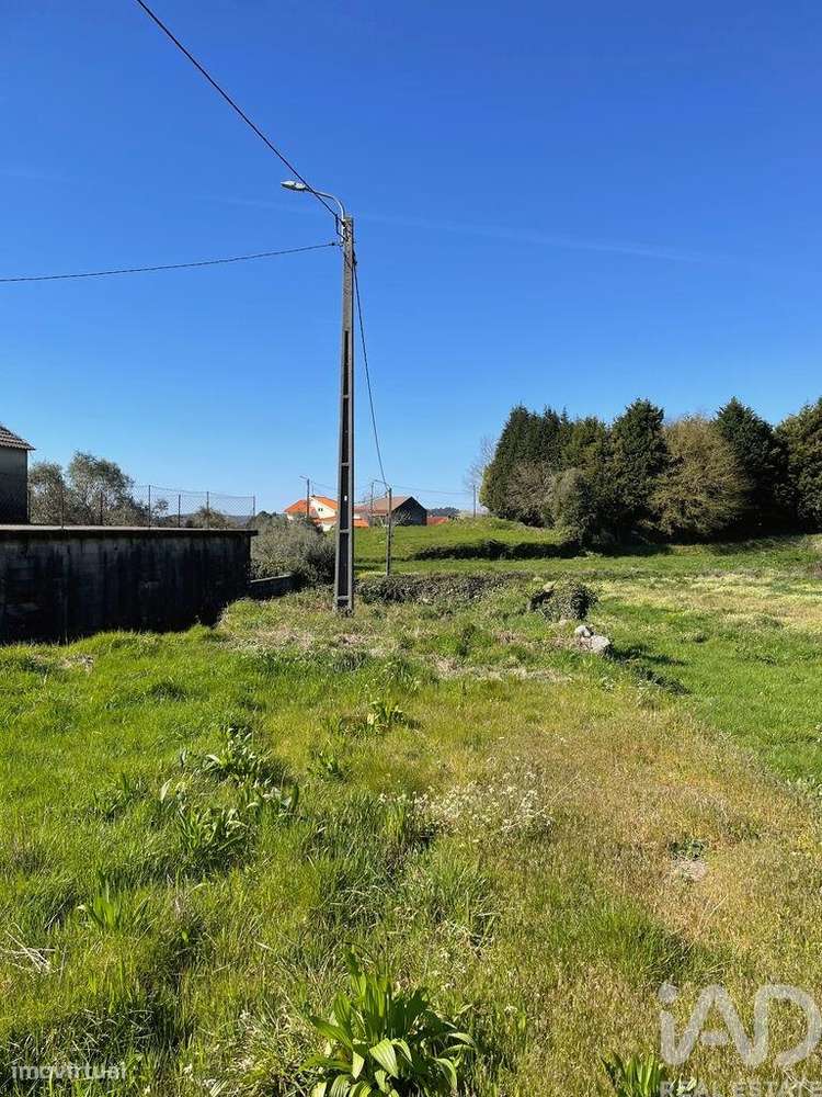 Terreno Agrícola em Montaria - Grande imagem: 3/11