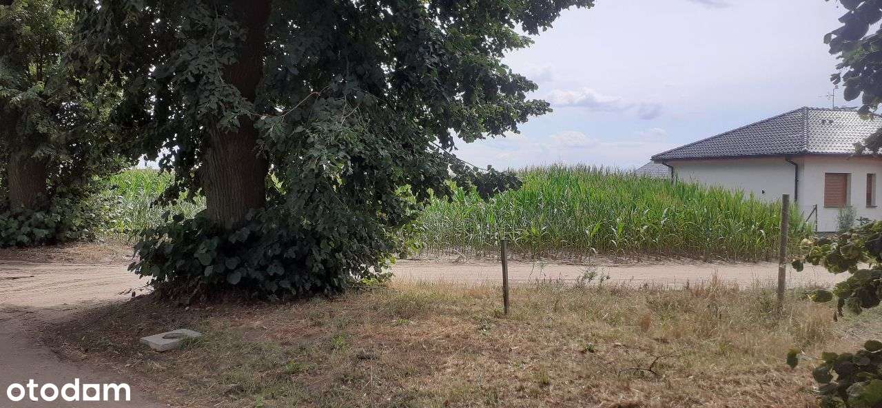 Działka budowlana Niepruszewo okolice, Otusz - Pełny obrazek: 5/12