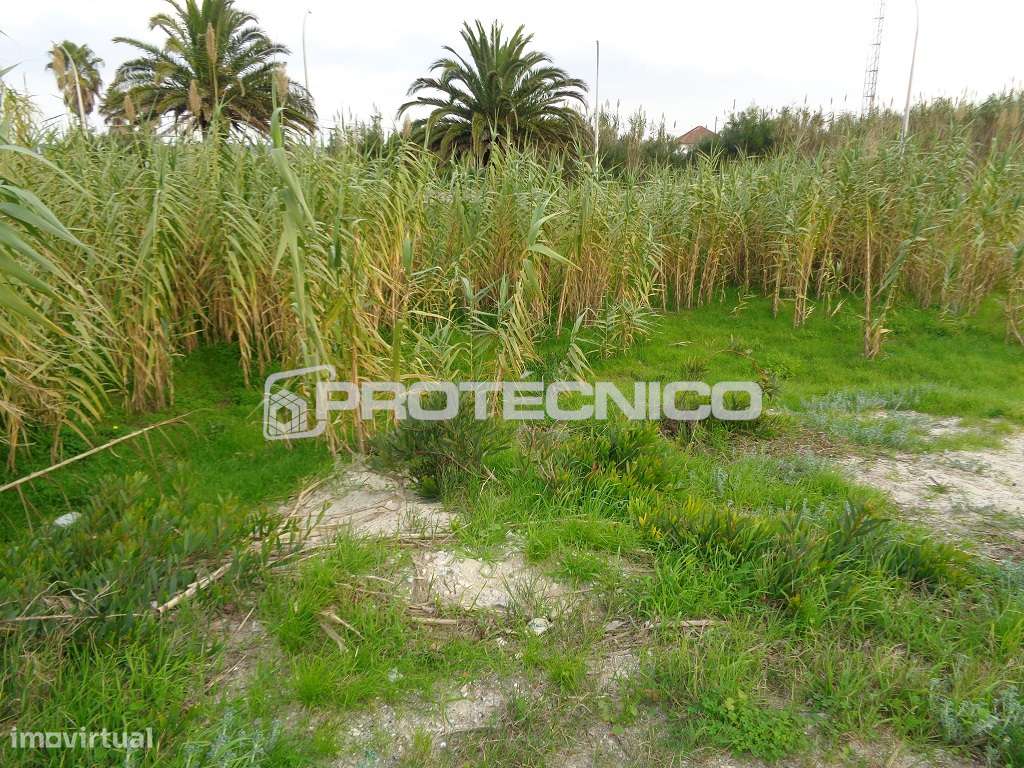 Lote de Terreno - Construção em Altura - Grande imagem: 5/10