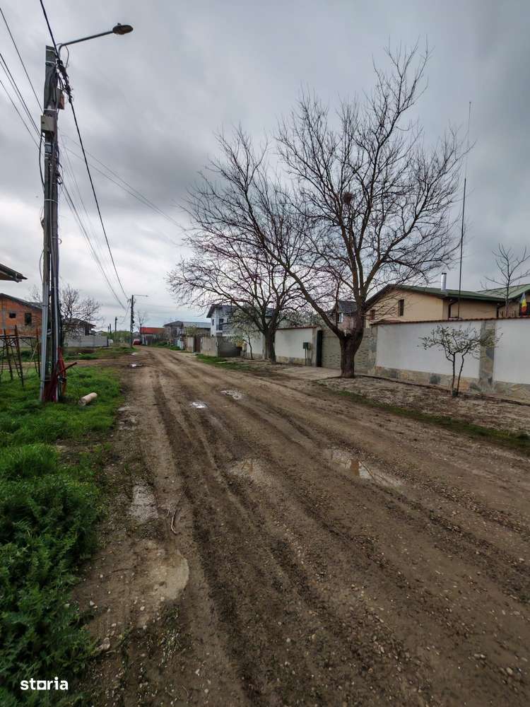 Teren de Vanzare, Comuna Berceni, Judetul Ilfov, Strada Serelor - Imagine principală: 4/6