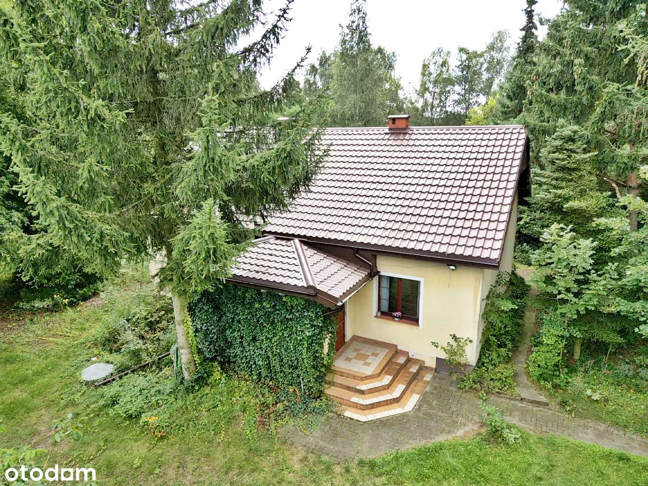 Dom + budynki  blisko Torunia, duża działka/ 6 pokoi/ 5923m2 działka - Pełny obrazek: 4/20