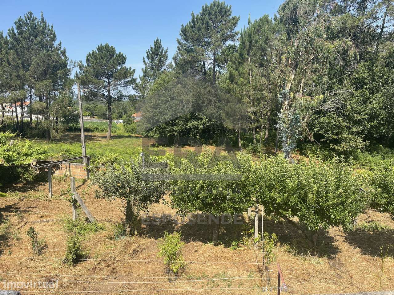 Terreno em Forjães - Grande imagem: 4/4