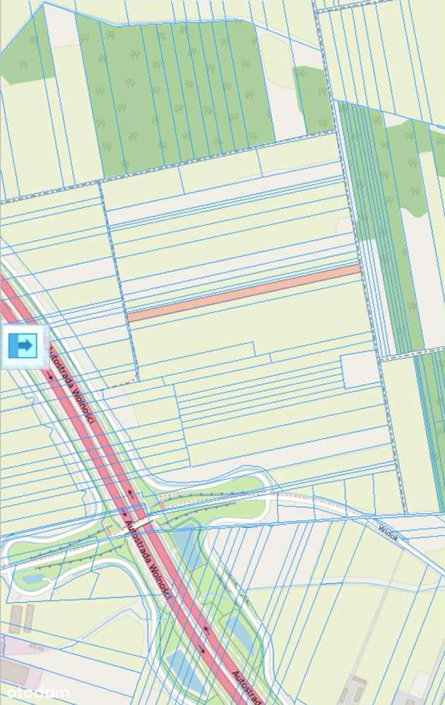 Działka rolna Stare Iganie 5406 m2 - Pełny obrazek: 5/7
