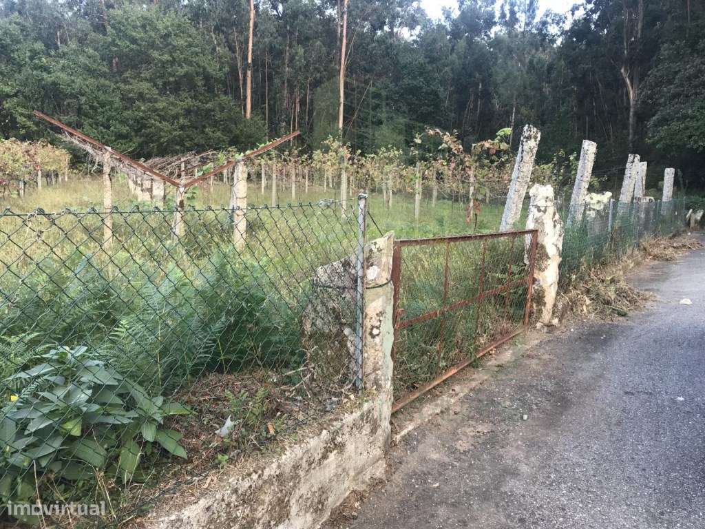 Terreno para construção em Ganfei - Grande imagem: 4/4