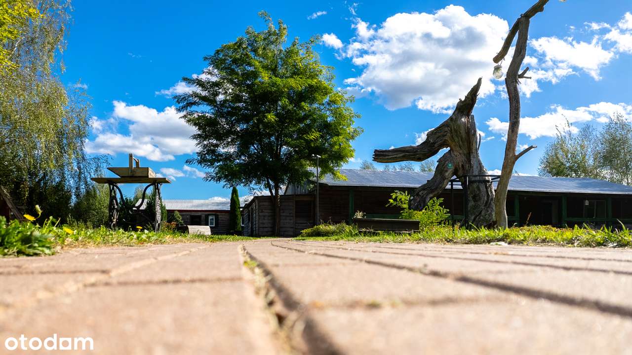 Dom i biznes w otoczeniu lasu-10