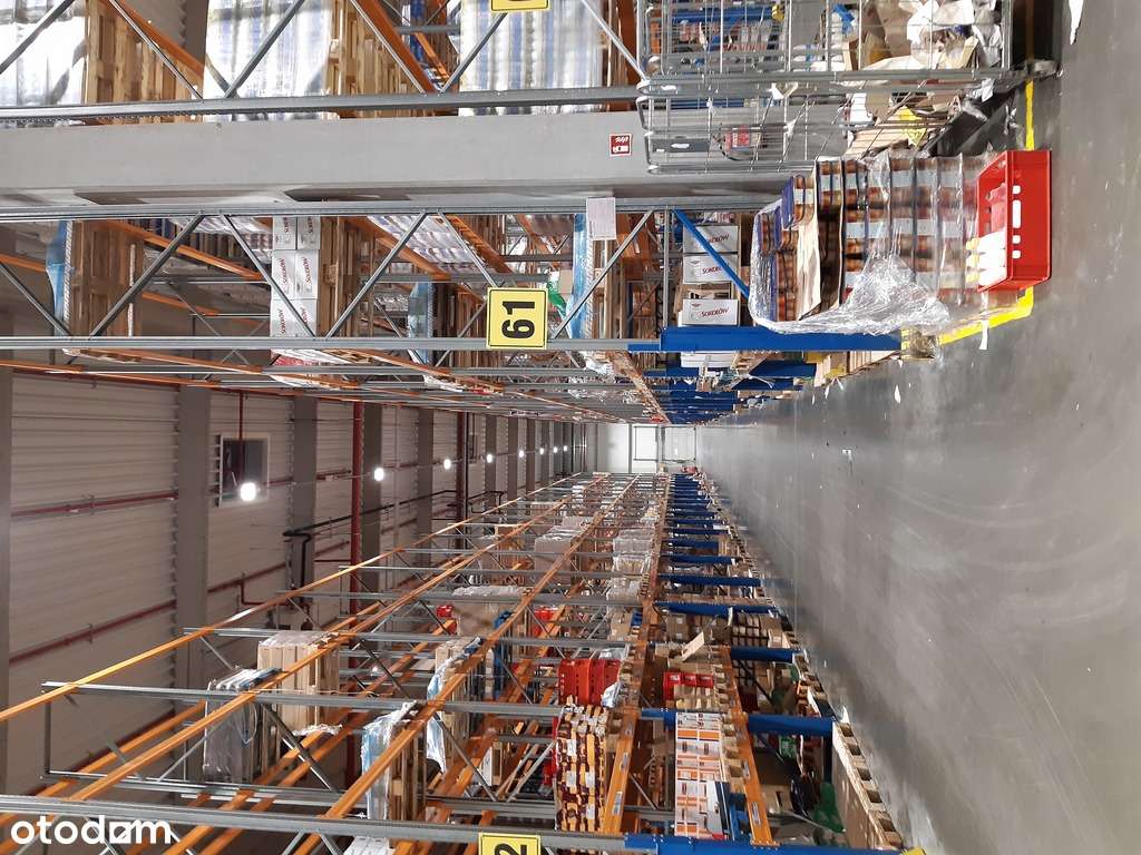 Magazyn-chłodnia na wynajem, Konin-Krągola - Pełny obrazek: 5/10