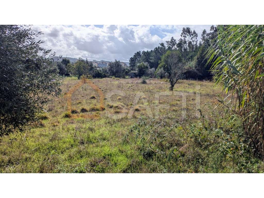 Terreno para construção residencial - Santórum - Grande imagem: 3/4