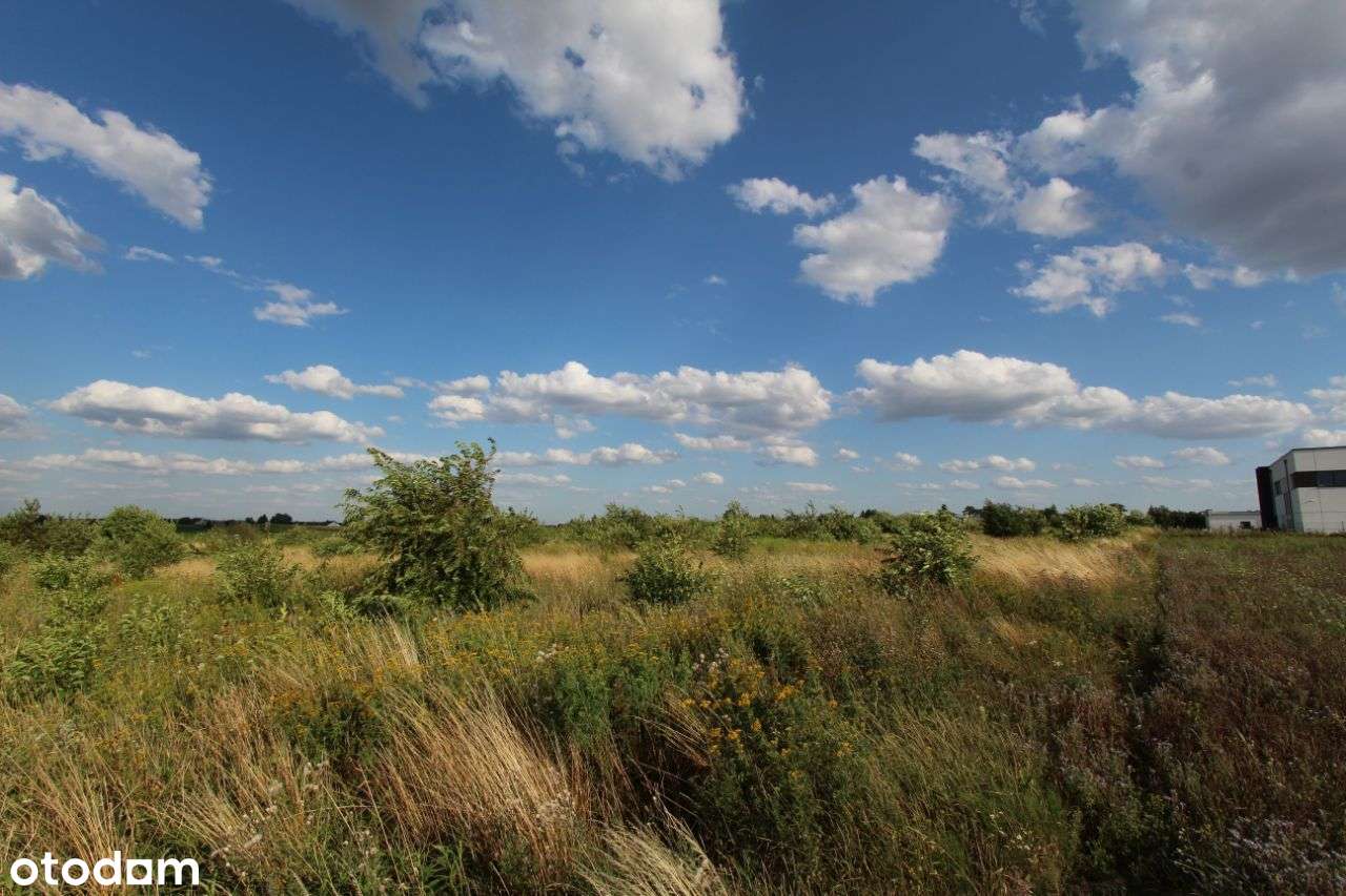 Działka AG 7147 m2 BYTKOWO - gm. Rokietnica - Pełny obrazek: 4/6