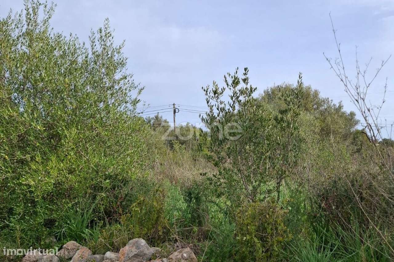 Terreno Rústico com 1.600m2 em Poço da Nora, Messines - Grande imagem: 4/16