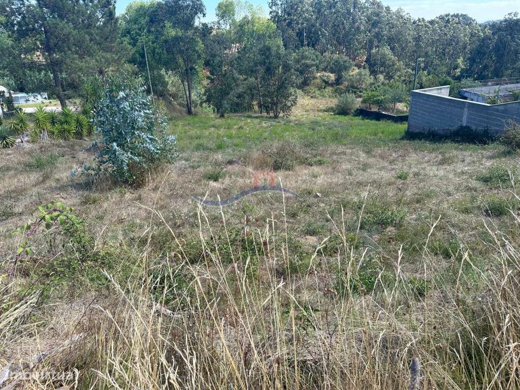 Terreno - Souto da Carpalhosa - Grande imagem: 4/9