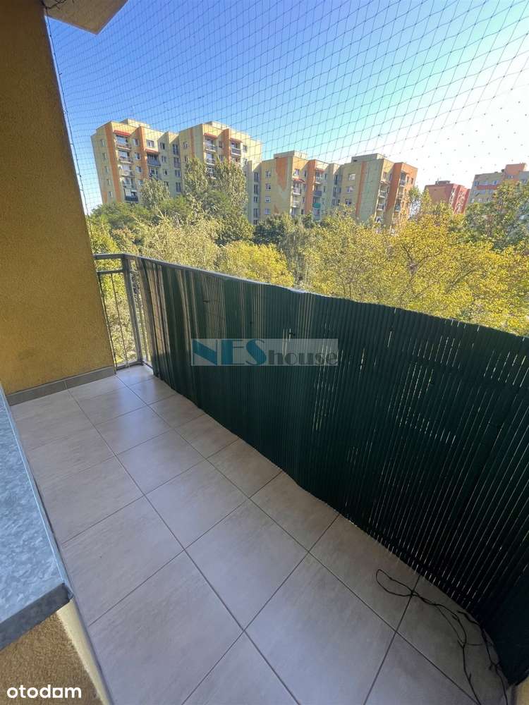 Pełen rozkład, tramwaj!-14