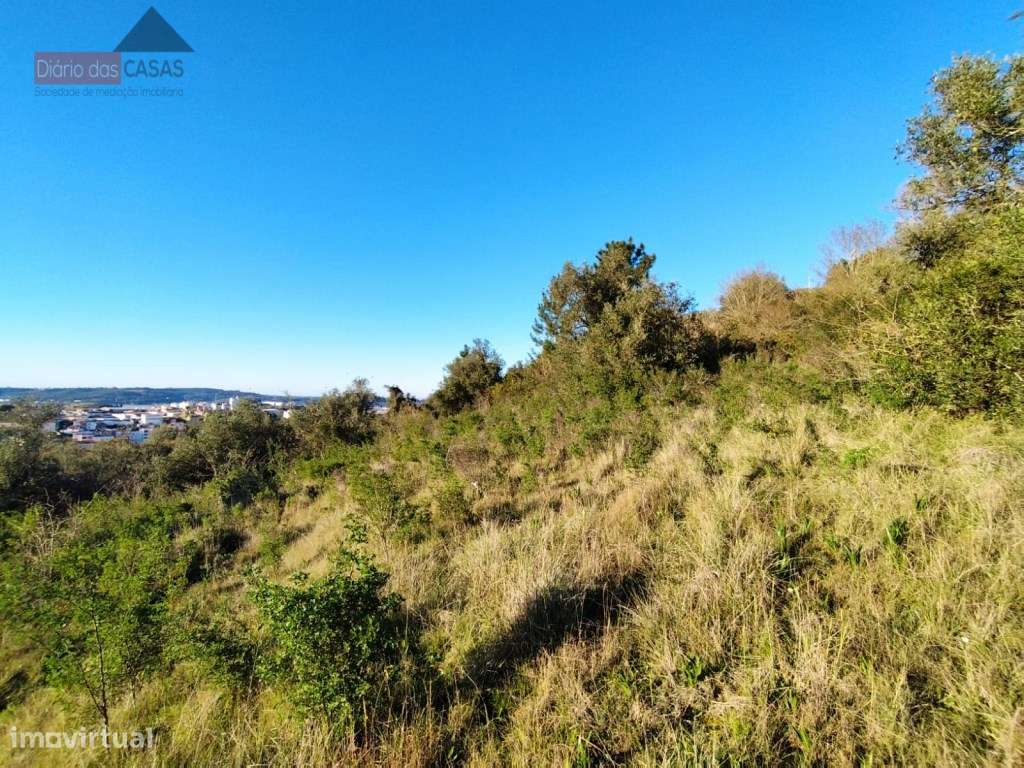 Lote de terreno com 15.300 m2 Zona Norte - Coimbra (Portugal) - Grande imagem: 4/12