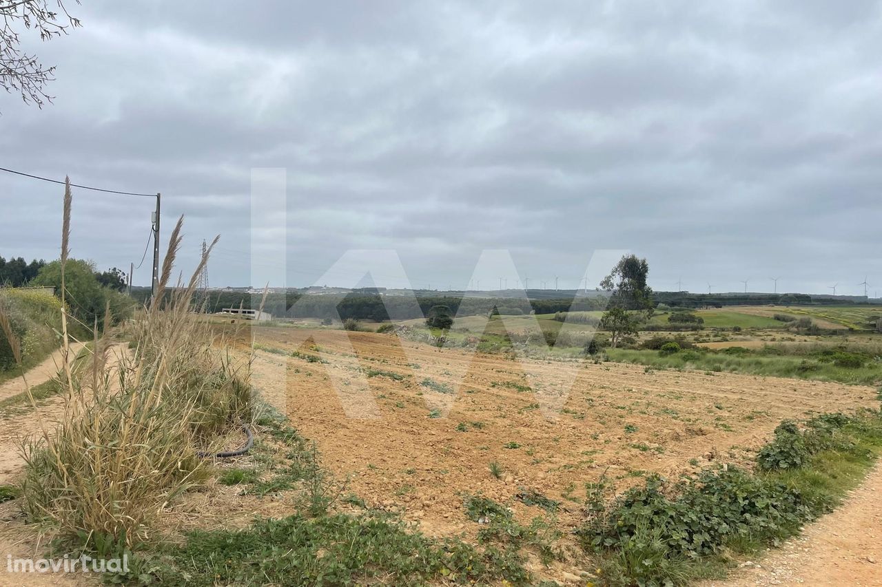 Terreno Agrícola em Peniche com mais de 5ha - Atouguia da Baleia