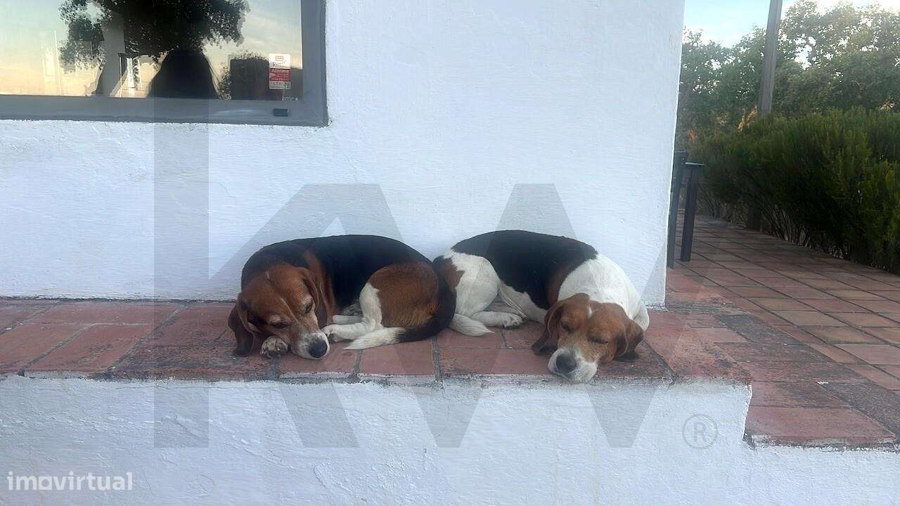 Propriedade única na Serra de Grândola - Terreno de 6,9 ha com vista p-10