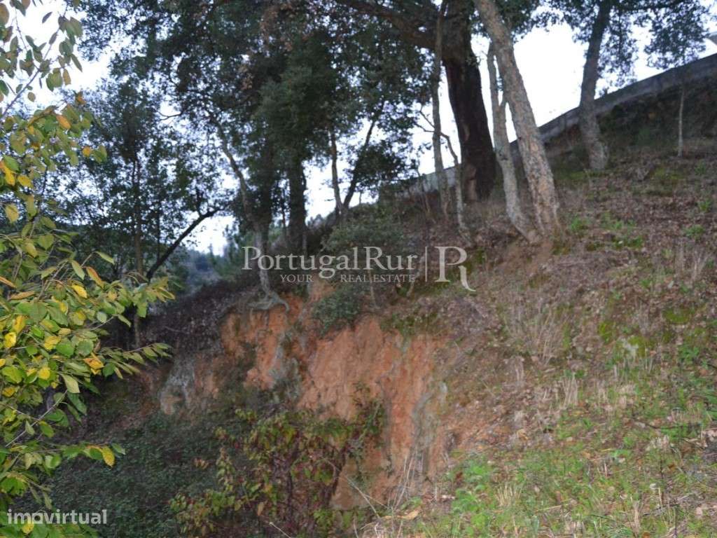Casa Rural na zona de Proença-a-Nova - Grande imagem: 5/8