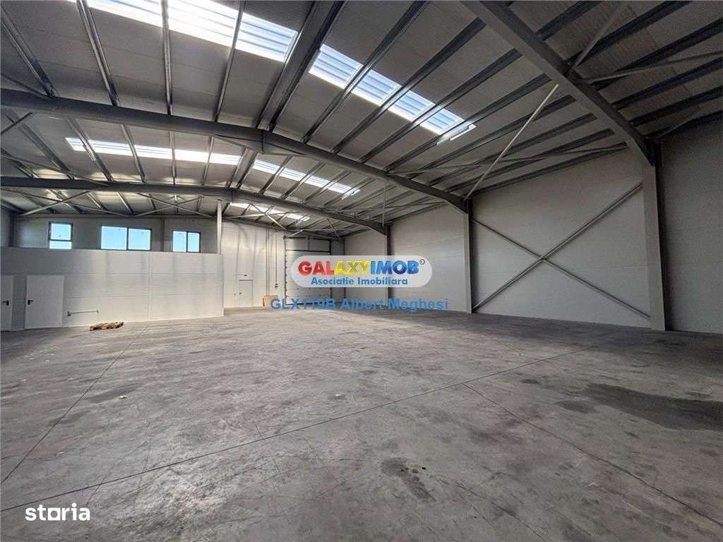 Inchiriere hala depozitare Parc Industrial TBM Rudeni - Imagine principală: 1/18