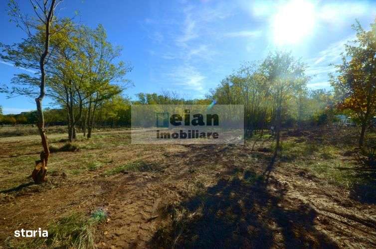 Snagov Ciofliceni Mânastire- Teren 1432 Mp, D 60 M, Curent Gaze Asfalt - Imagine principală: 3/9