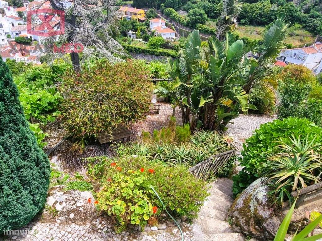 Refugio na Serra de Sintra-4