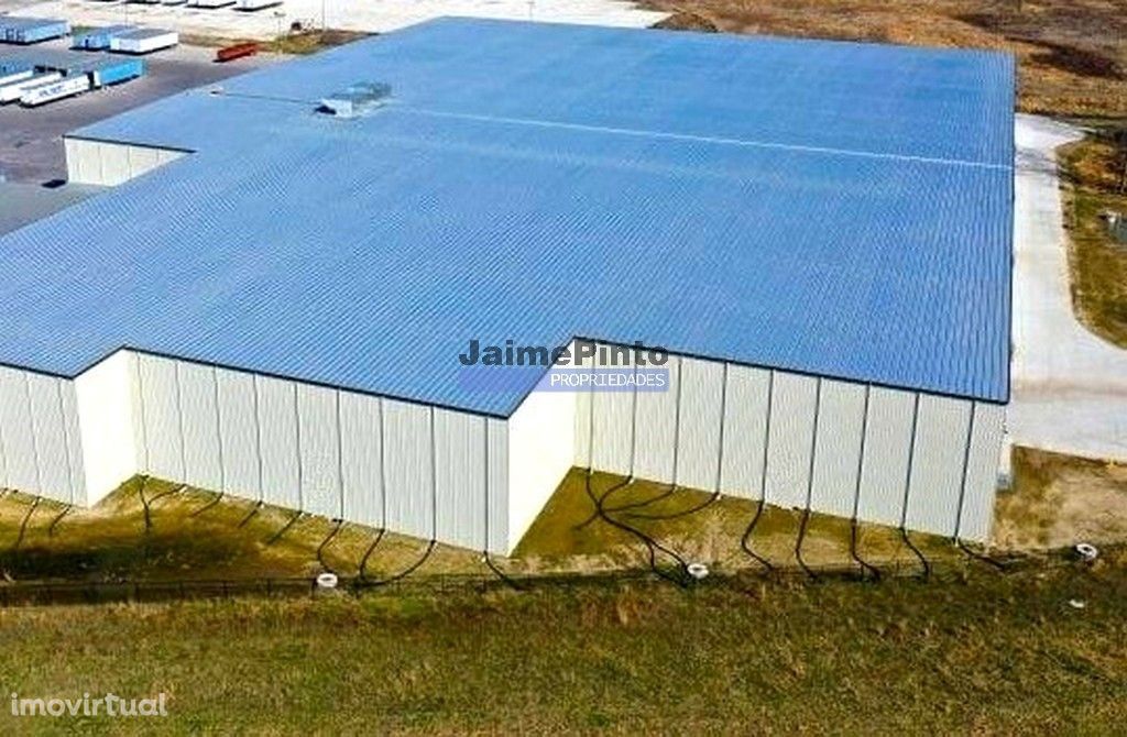 Terreno Industrial 92.000m2. Portugal, Aveiro, Albergaria.