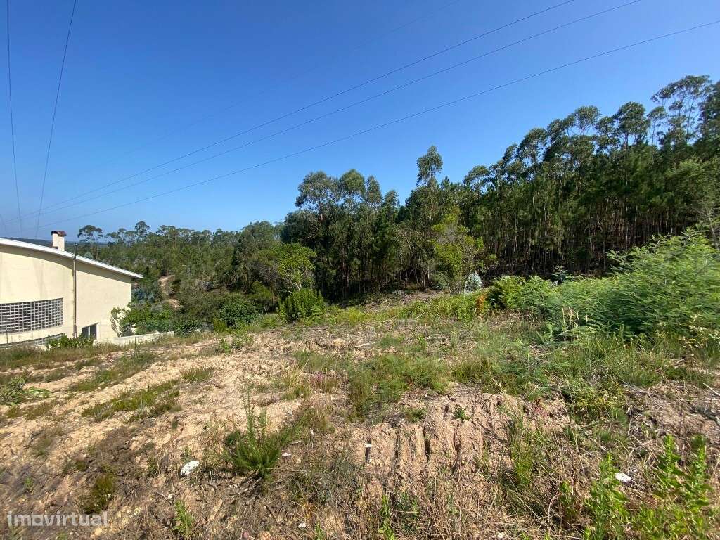 Terreno Albergaria - Grande imagem: 2/4