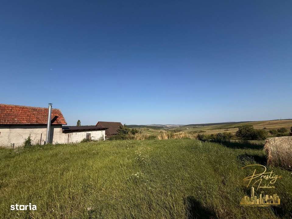 Teren intravilan de vanzare in Tasad - comuna Dragesti - Imagine principală: 4/7