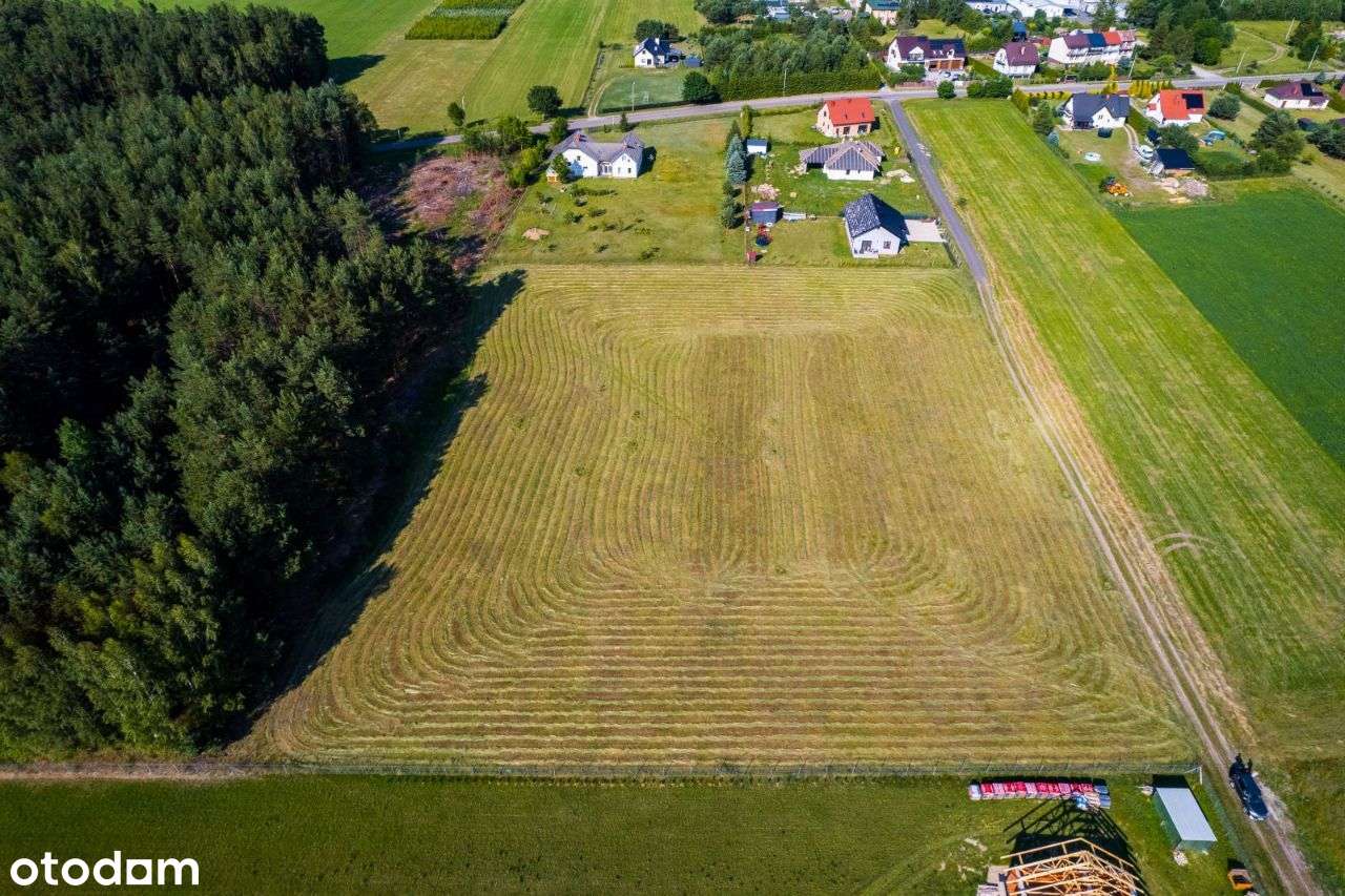 Działki w Wawrochach gmina Szczytno - Pełny obrazek: 4/10