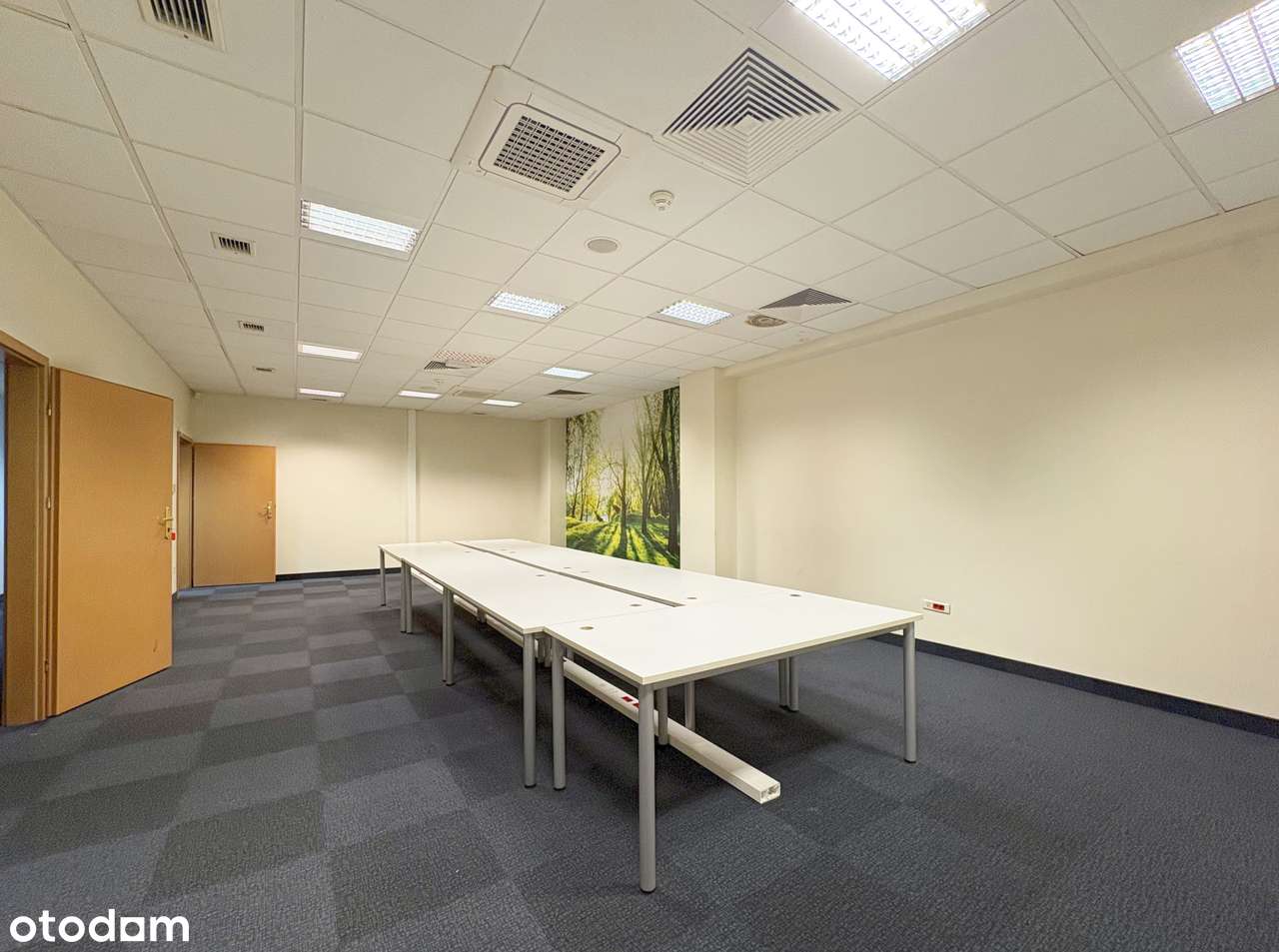 Bez prowizji! Biuro 277 m² przy autostradzie A4 | Katowice-6