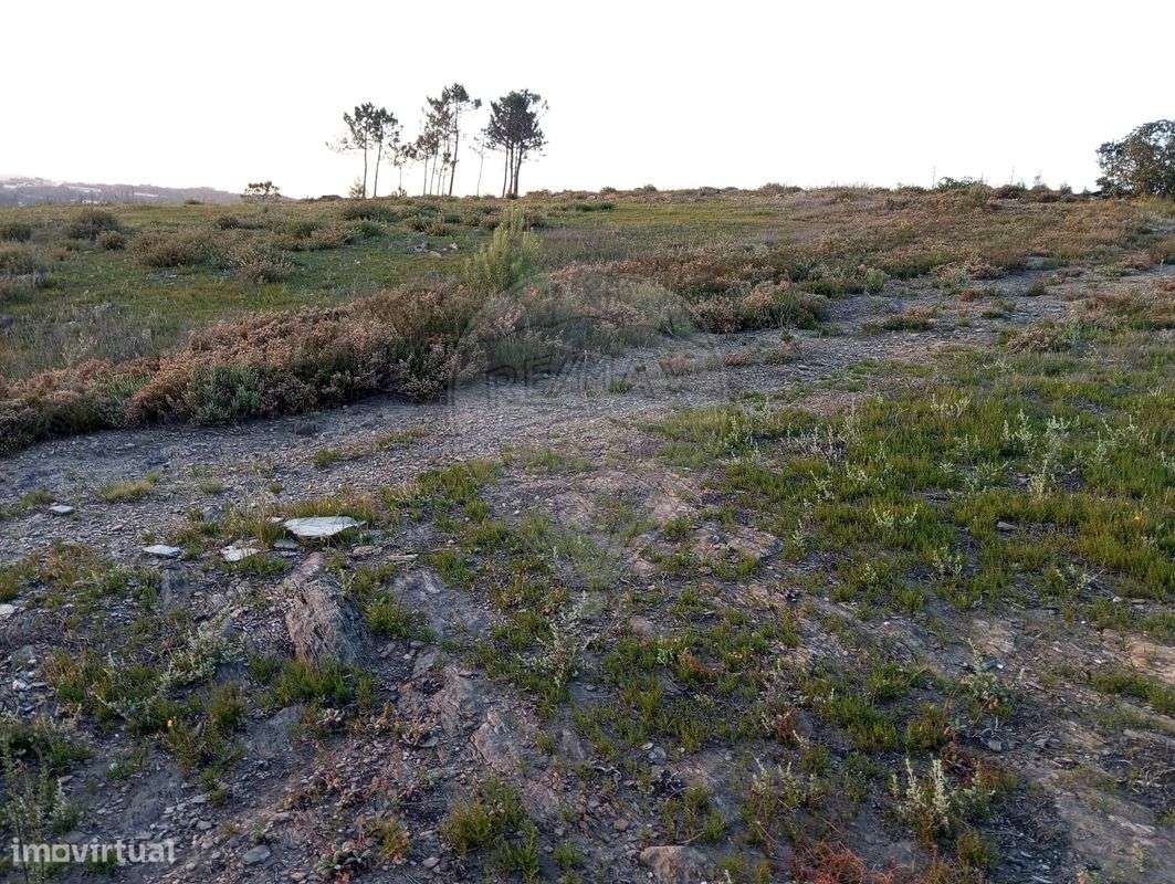 Terreno  para venda - Grande imagem: 4/11
